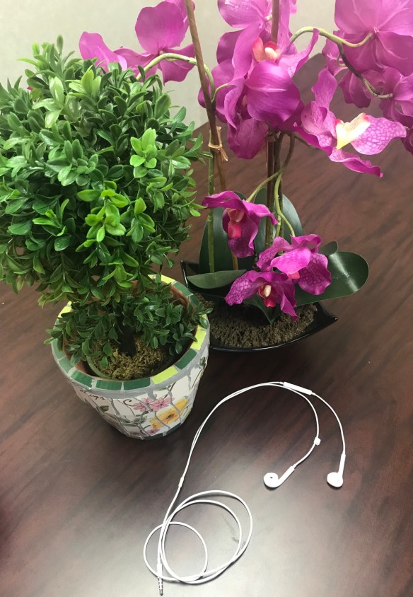 57B0E03E-6C24-4E81-BE9C-03E7776D5076