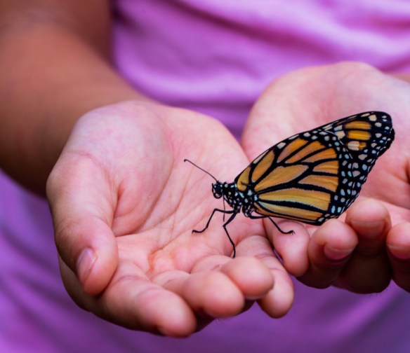 E180D773-CC22-48B9-BE1F-BD79C8F3D197