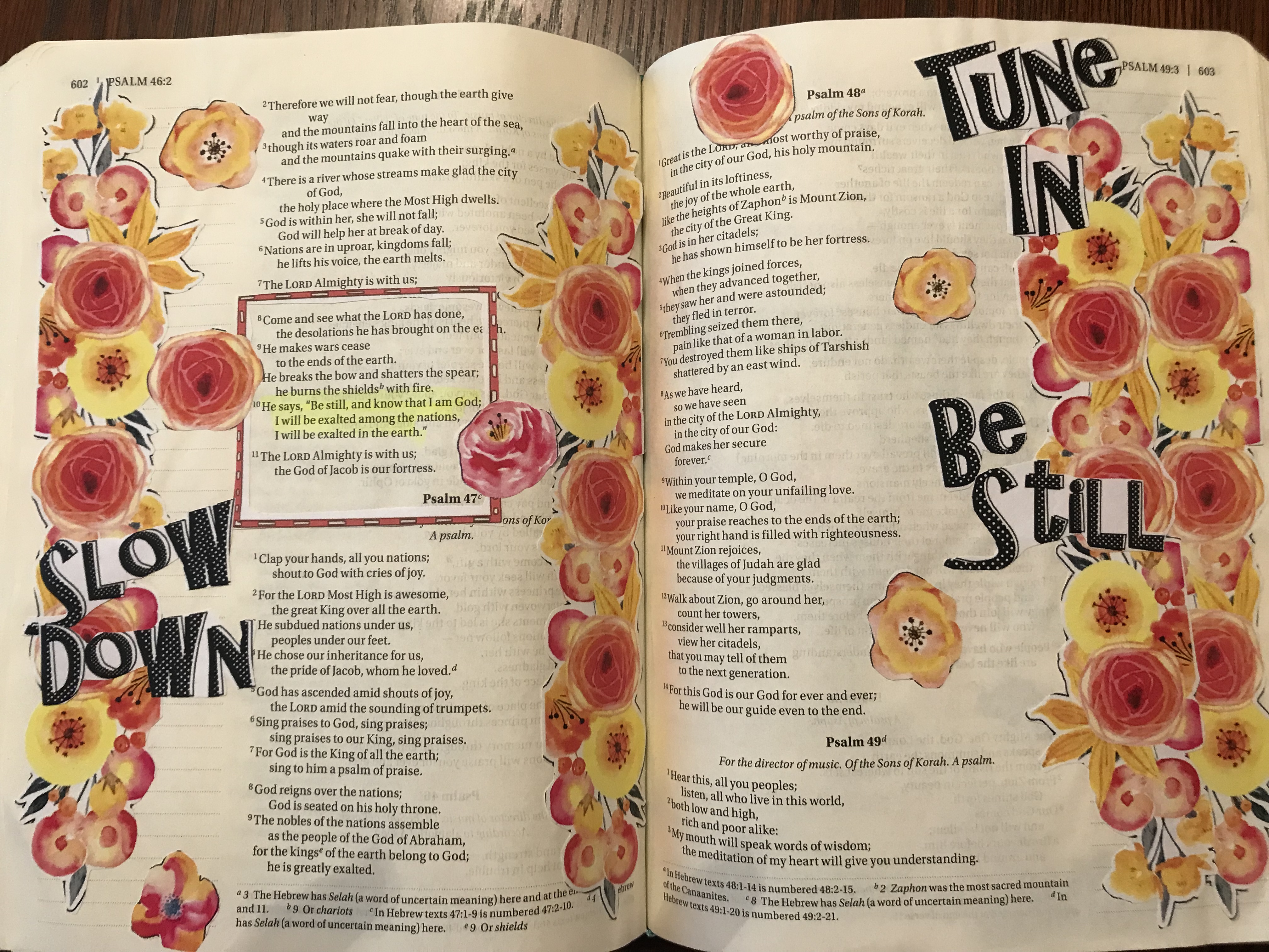 030C5F26-66A4-4A41-9CC2-A5C352B3167D