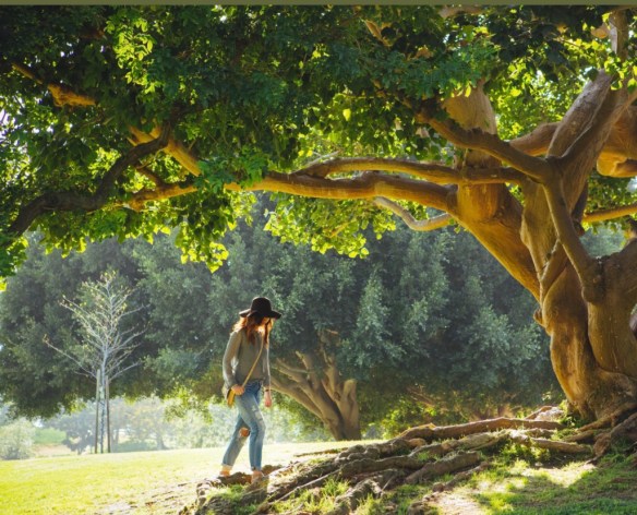 F21EA10B-FAD0-4167-8EAC-ABAE3808F967