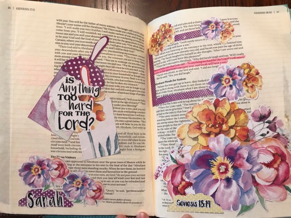 D0745453-1972-42C7-9CB5-9BED1DAA974E