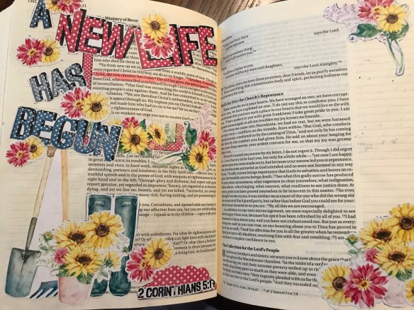 722C42A9-7EFE-4AEA-AABE-28F19A16BFEF